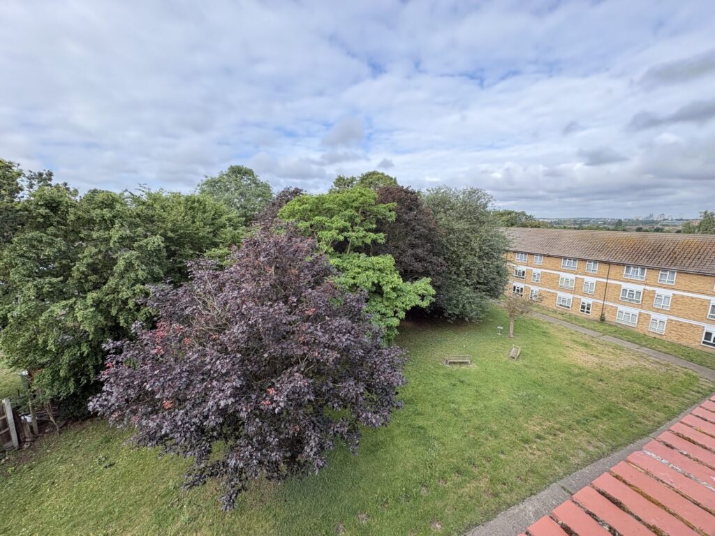 Tattersall Close - Eltham - London - SE9